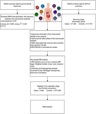 Uncovering a causal connection between the Lachnoclostridium genus in fecal microbiota and non-alcoholic fatty liver disease: a two-sample Mendelian randomization analysis